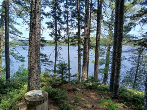 Lot # 16.2 Lane Pond Road Carrying Place Town Twp ME 04961