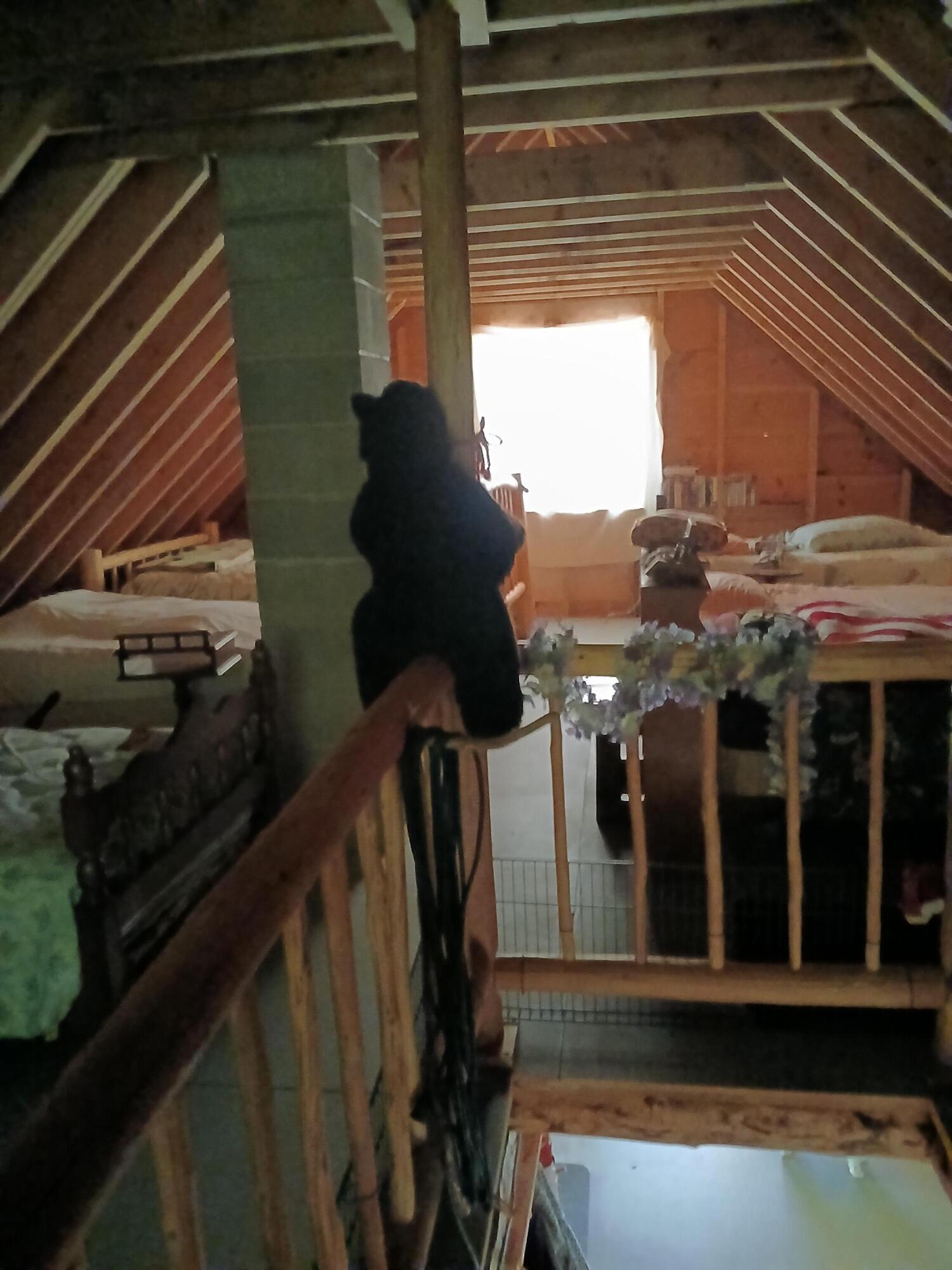 Lot # 16.2 Lane Pond Road Carrying Place Town Twp ME 04961