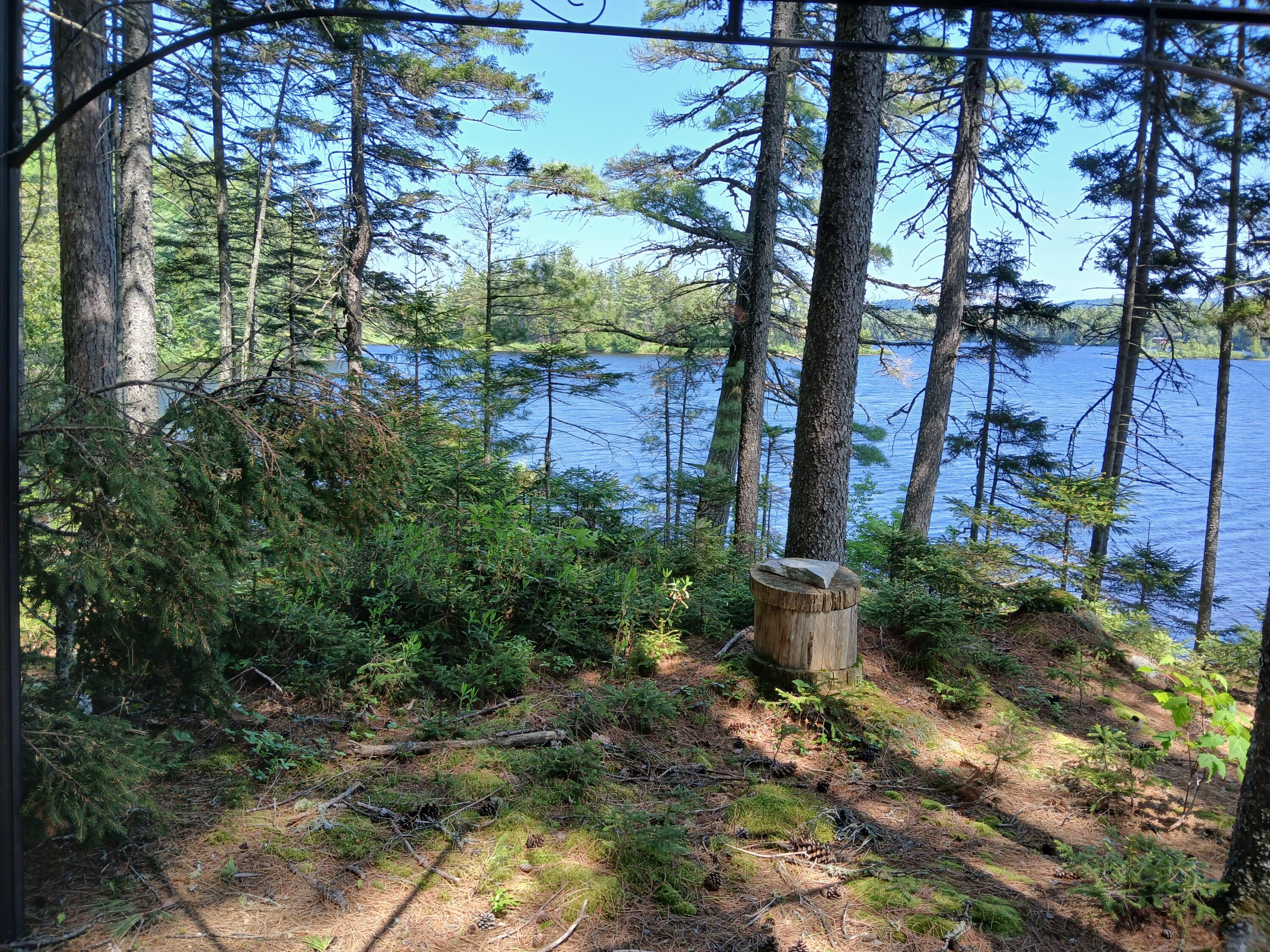 Lot # 16.2 Lane Pond Road Carrying Place Town Twp ME 04961