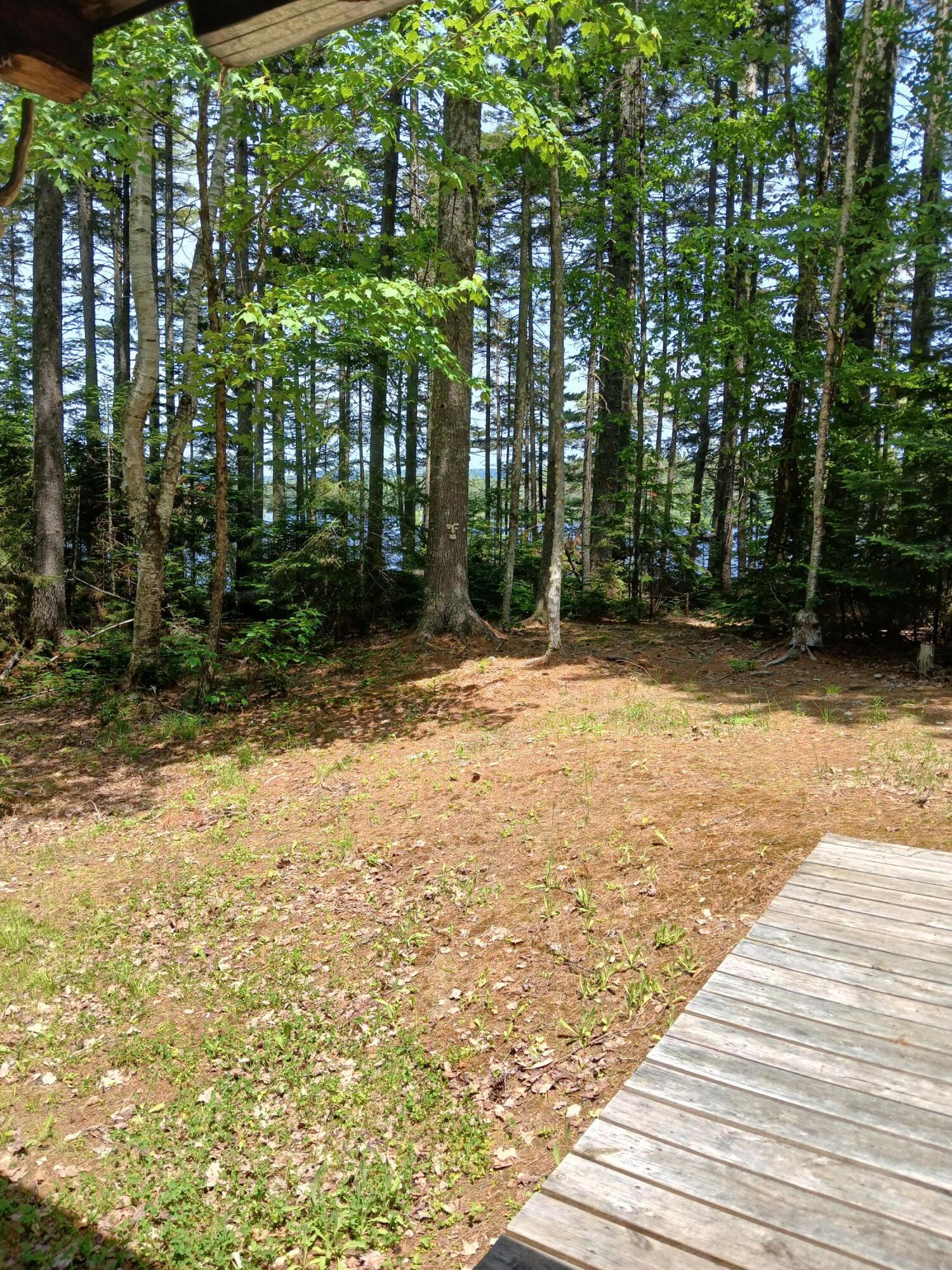 Lot # 16.2 Lane Pond Road Carrying Place Town Twp ME 04961