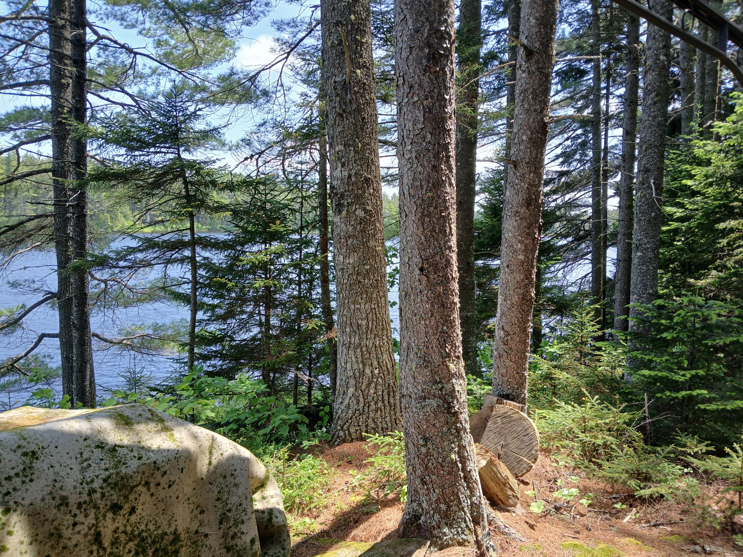 Lot # 16.2 Lane Pond Road Carrying Place Town Twp ME 04961