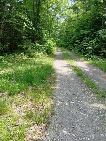 Lot # 16.2 Lane Pond Road Carrying Place Town Twp ME 04961