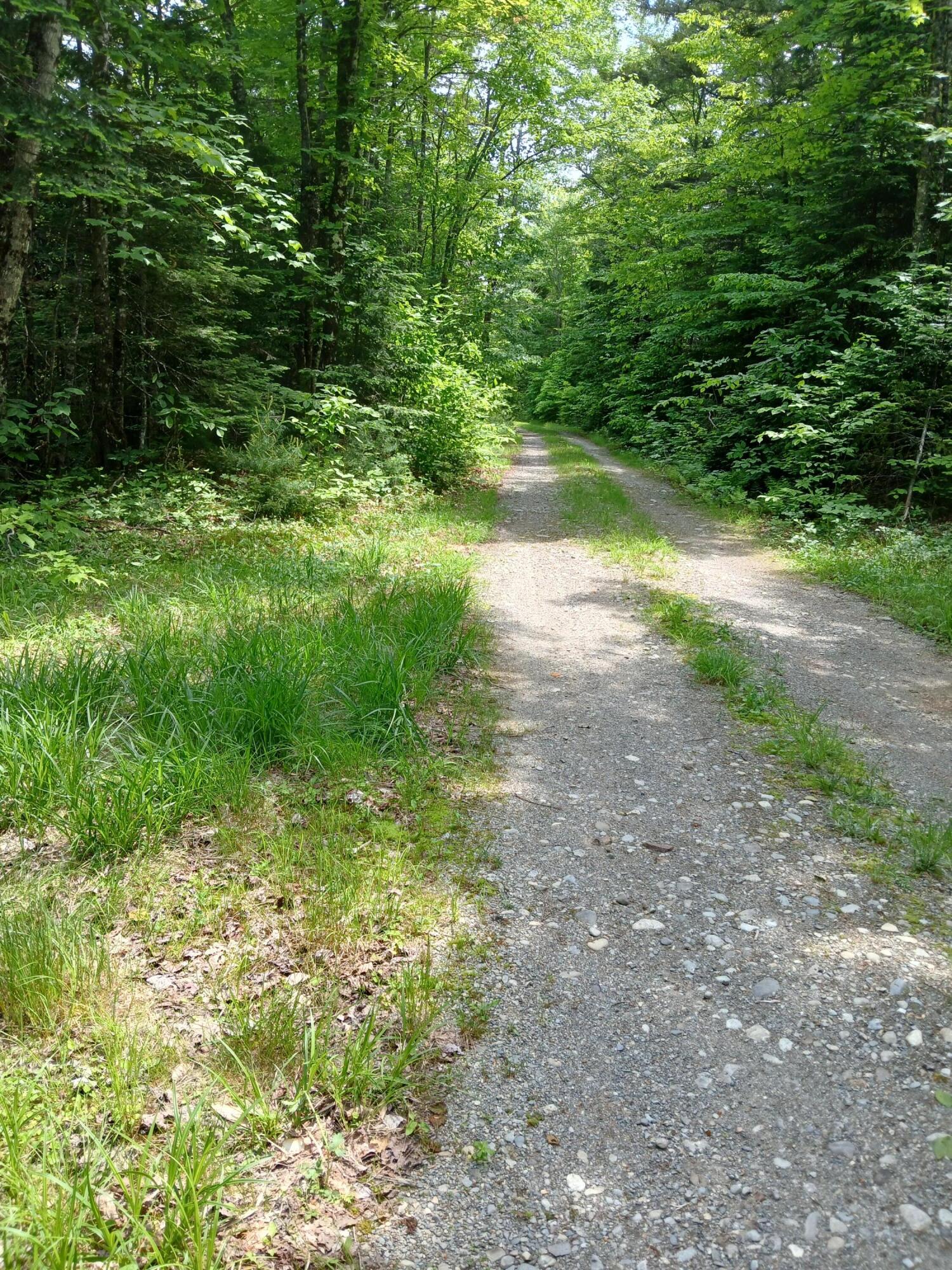 Lot # 16.2 Lane Pond Road Carrying Place Town Twp ME 04961