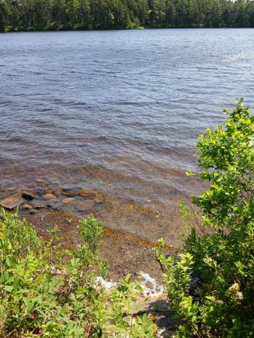 Lot # 16.2 Lane Pond Road Carrying Place Town Twp ME 04961