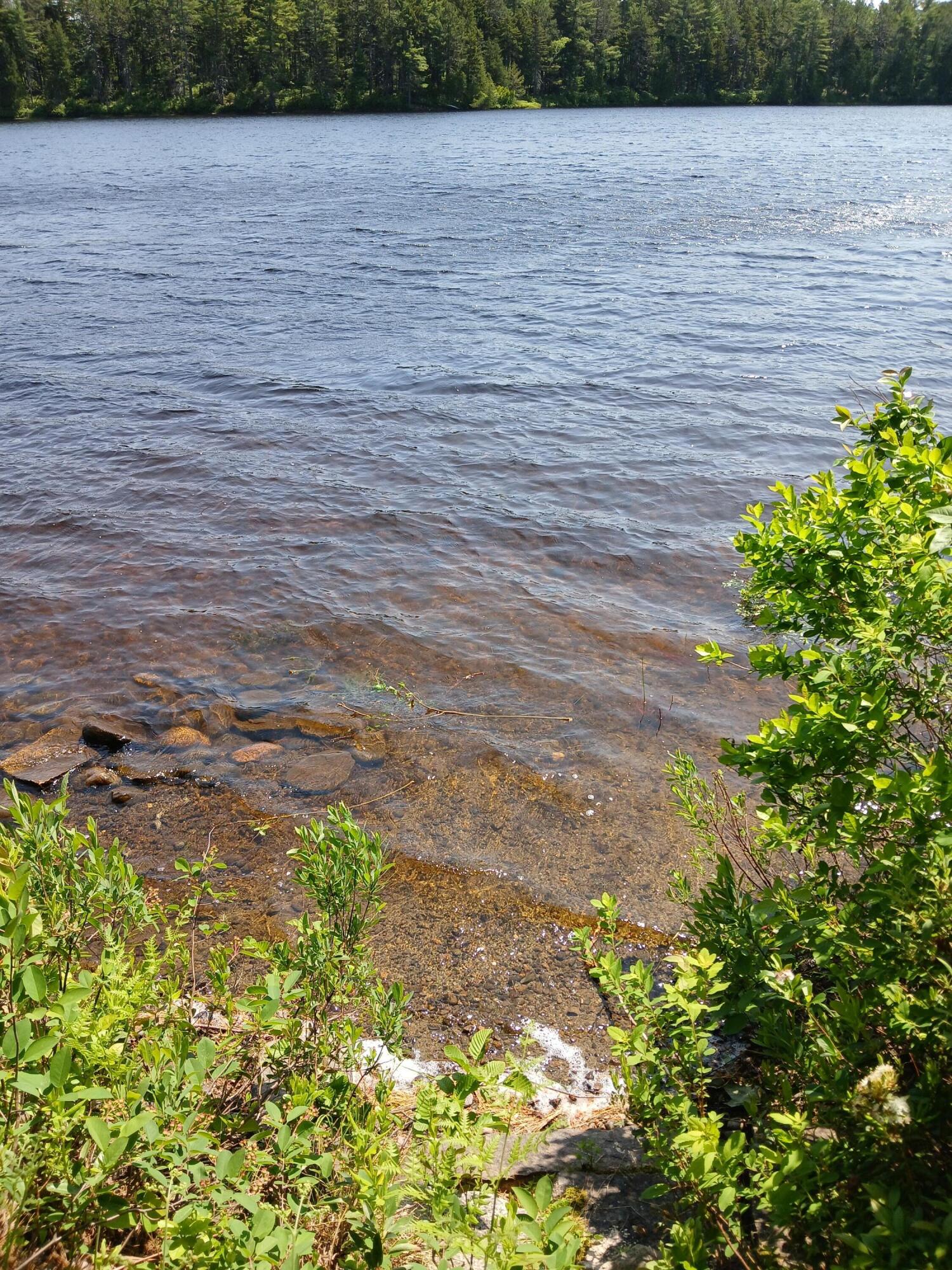 Lot # 16.2 Lane Pond Road Carrying Place Town Twp ME 04961