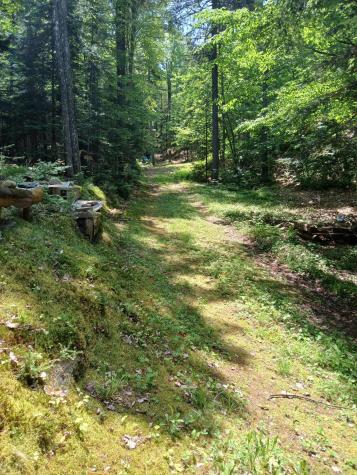 Lot # 16.2 Lane Pond Road Carrying Place Town Twp ME 04961