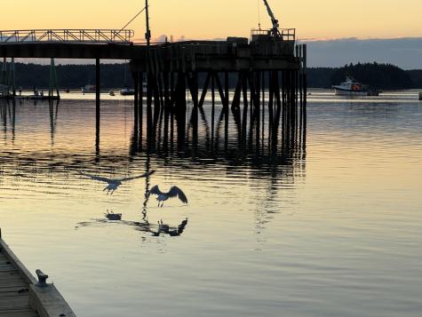 6 Cecelias Way Lubec ME 04652