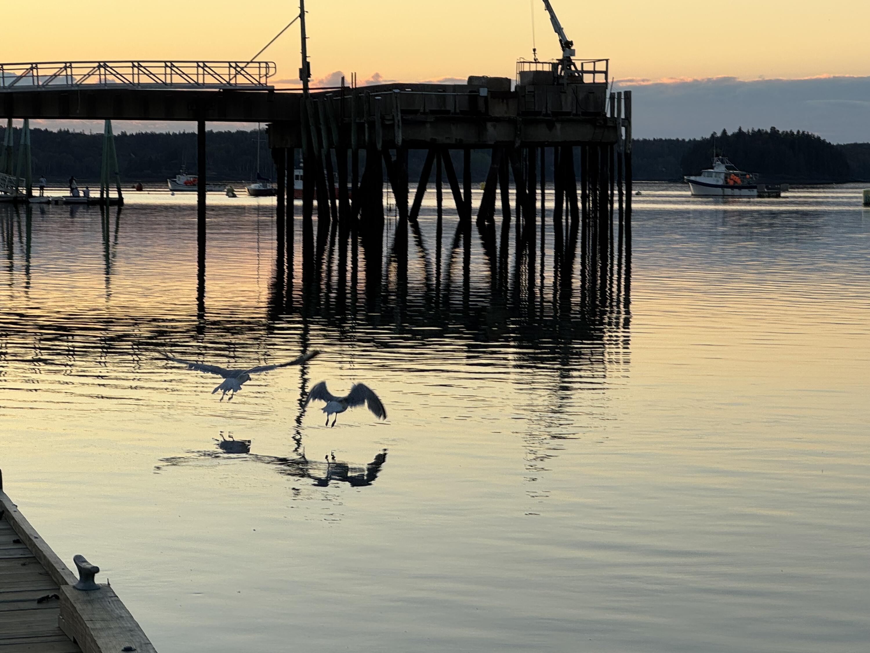 6 Cecelias Way Lubec ME 04652