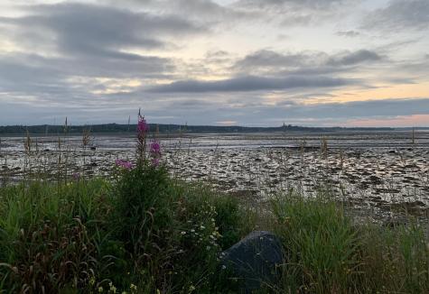 6 Cecelias Way Lubec ME 04652