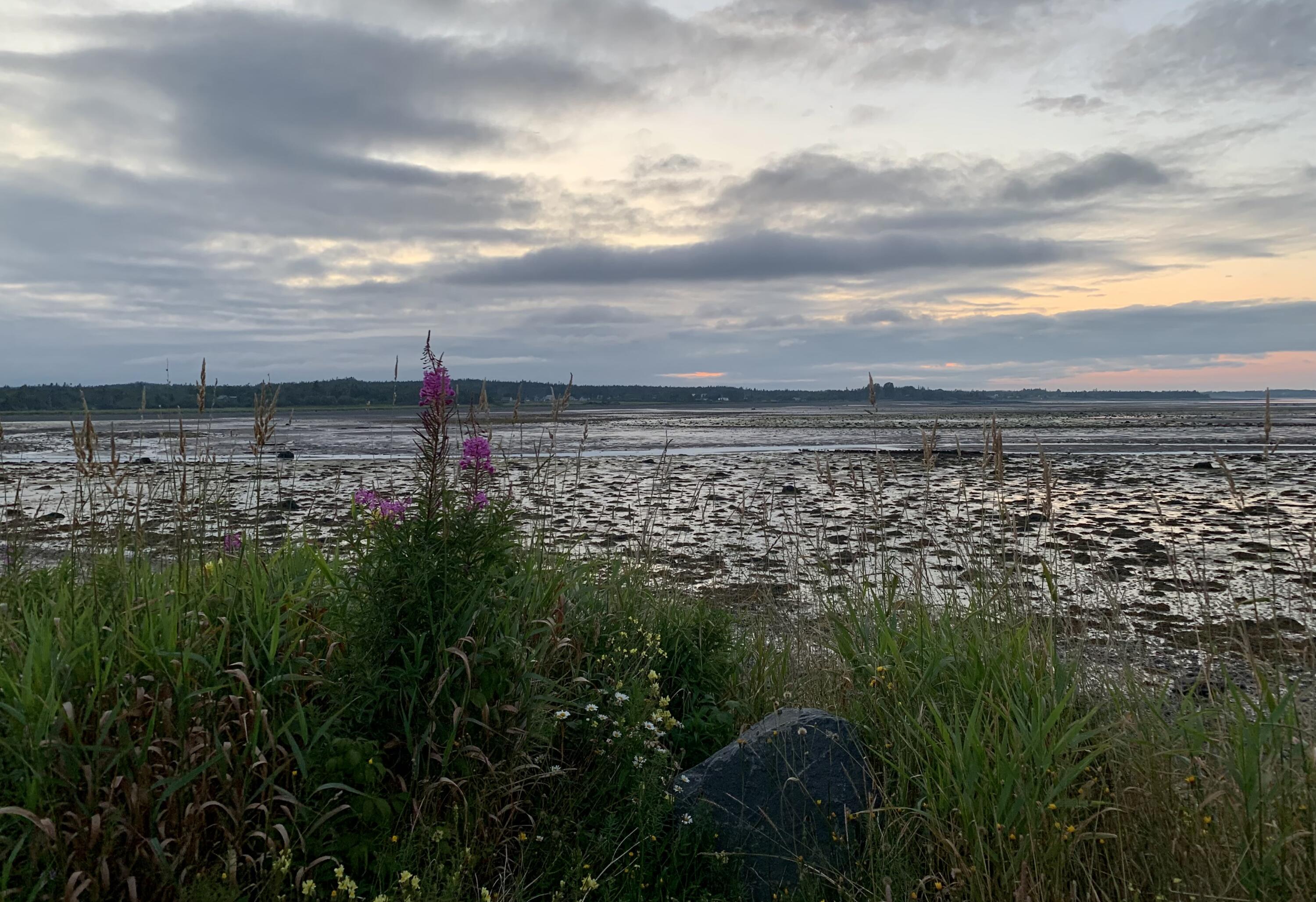 6 Cecelias Way Lubec ME 04652