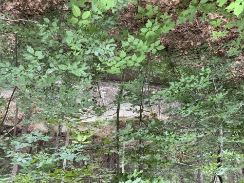 39 Guinea Road Biddeford ME 04005