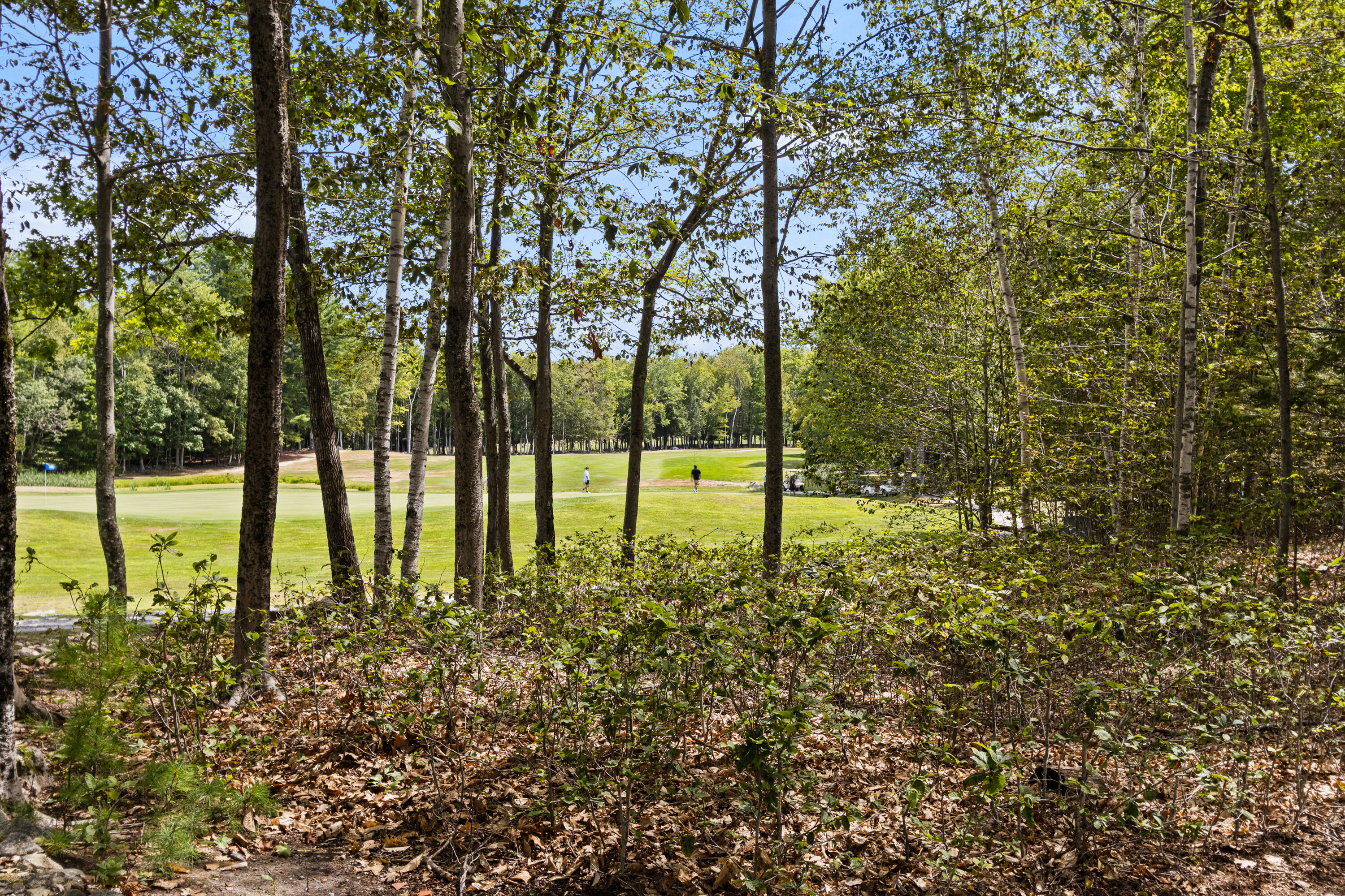 170 High Point Drive Frye Island ME 04071