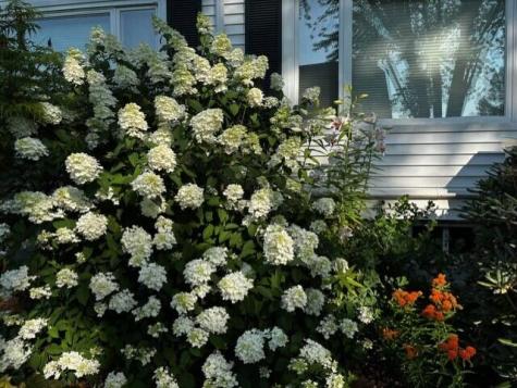 28 Mountainview Avenue Bangor ME 04401