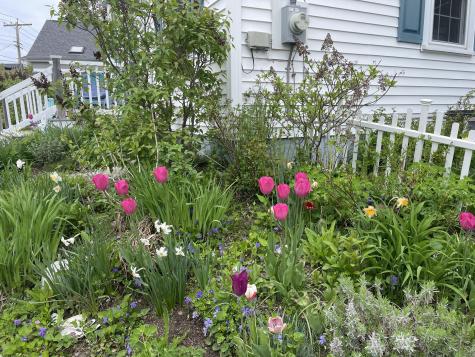 1155 Washington Street Bath ME 04530