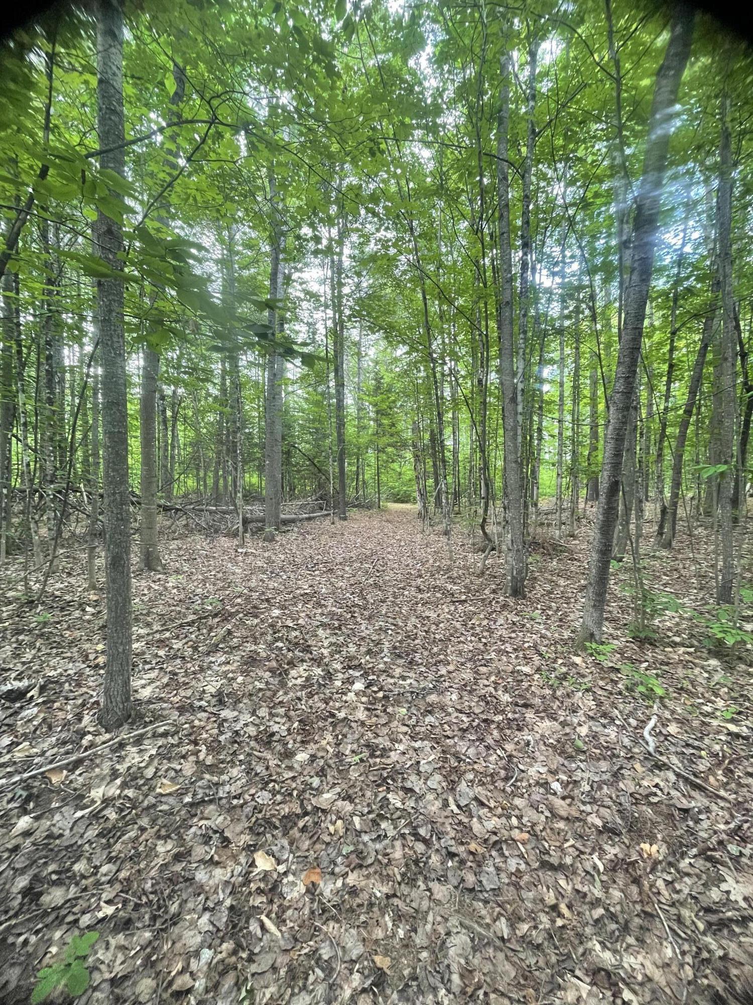 552 Milo Road Dover-foxcroft ME 04426