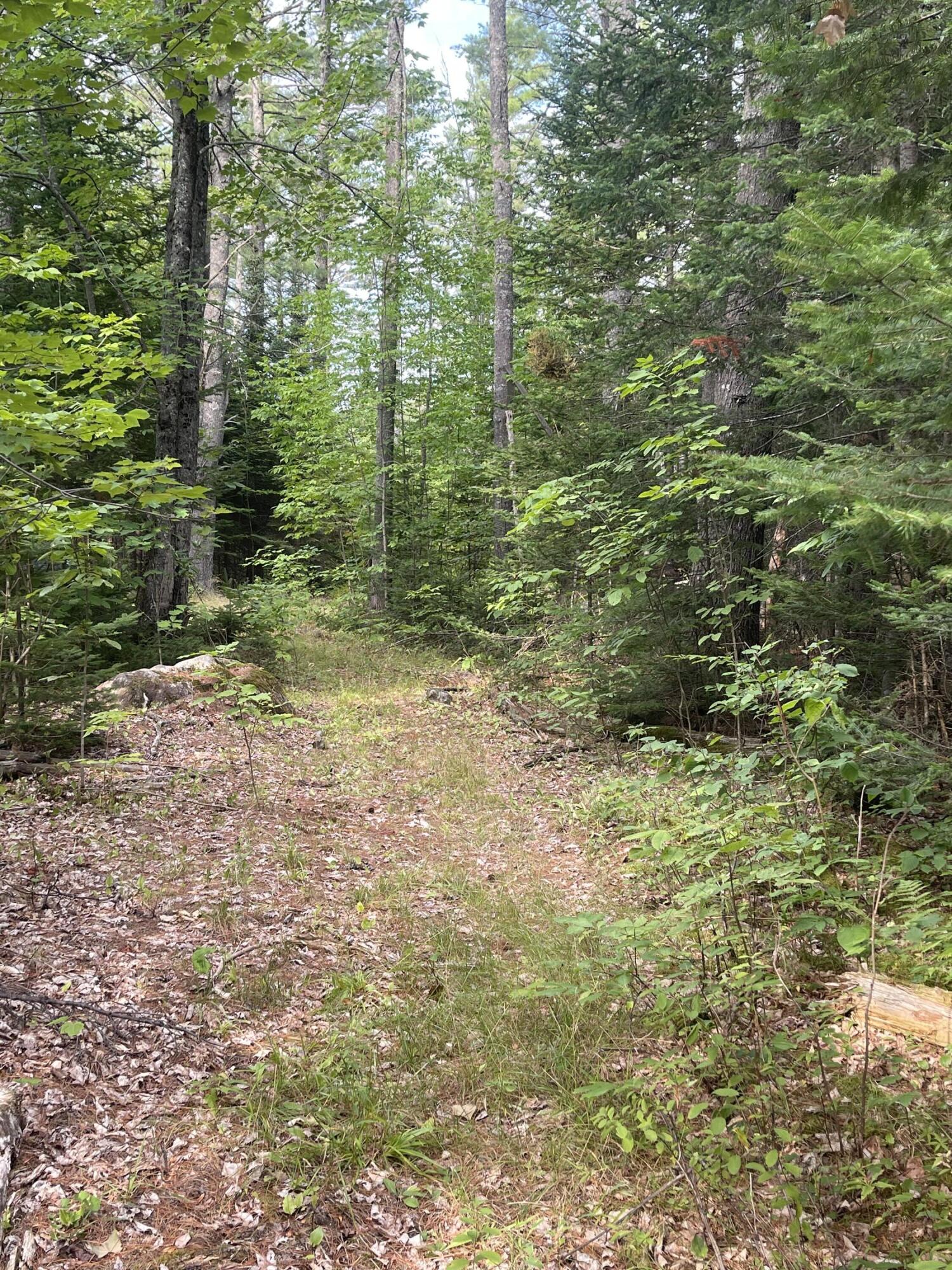 552 Milo Road Dover-foxcroft ME 04426