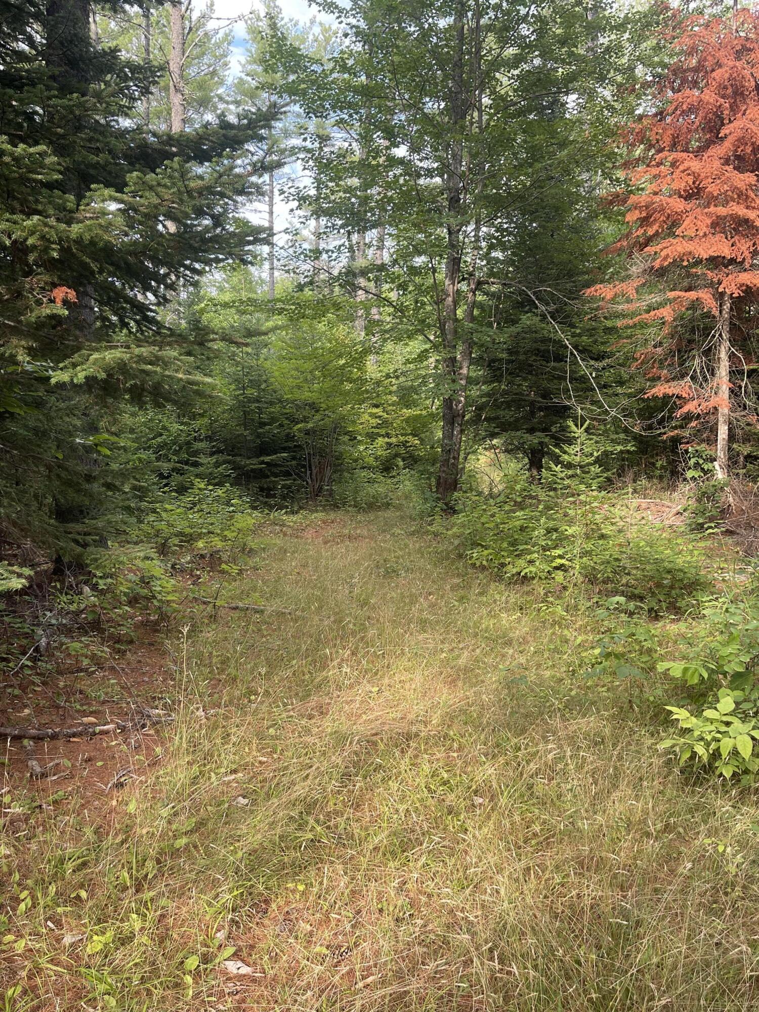 552 Milo Road Dover-foxcroft ME 04426