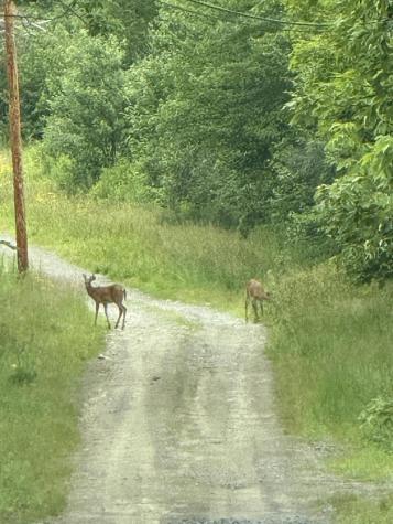 99 Lloyd Road Anson ME 04911