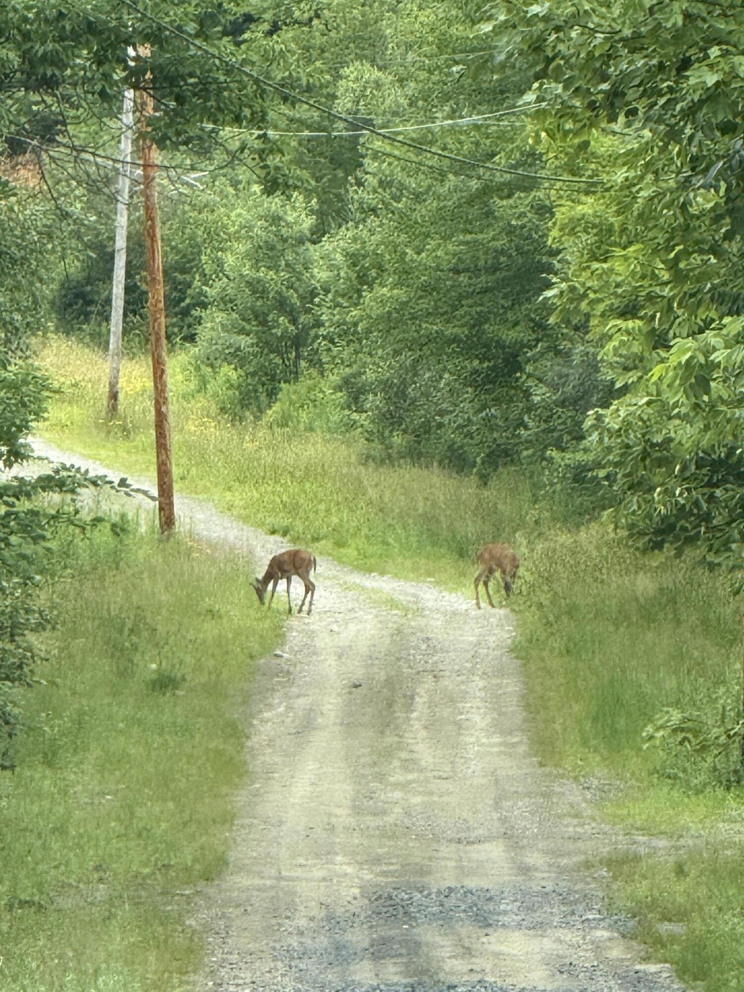 99 Lloyd Road Anson ME 04911