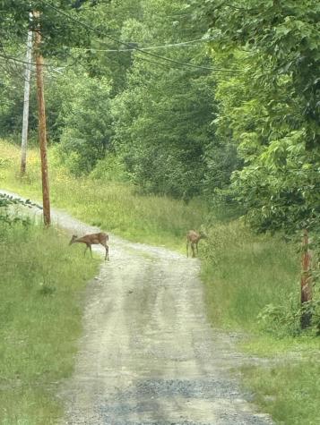 99 Lloyd Road Anson ME 04911