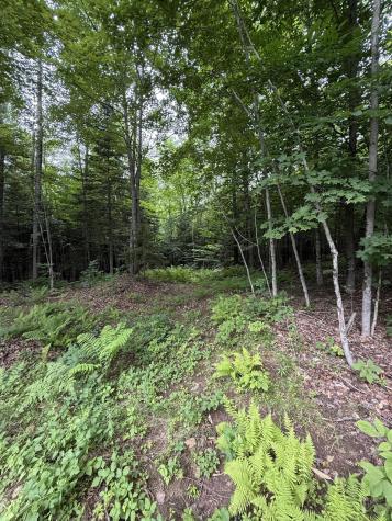 99 Lloyd Road Anson ME 04911