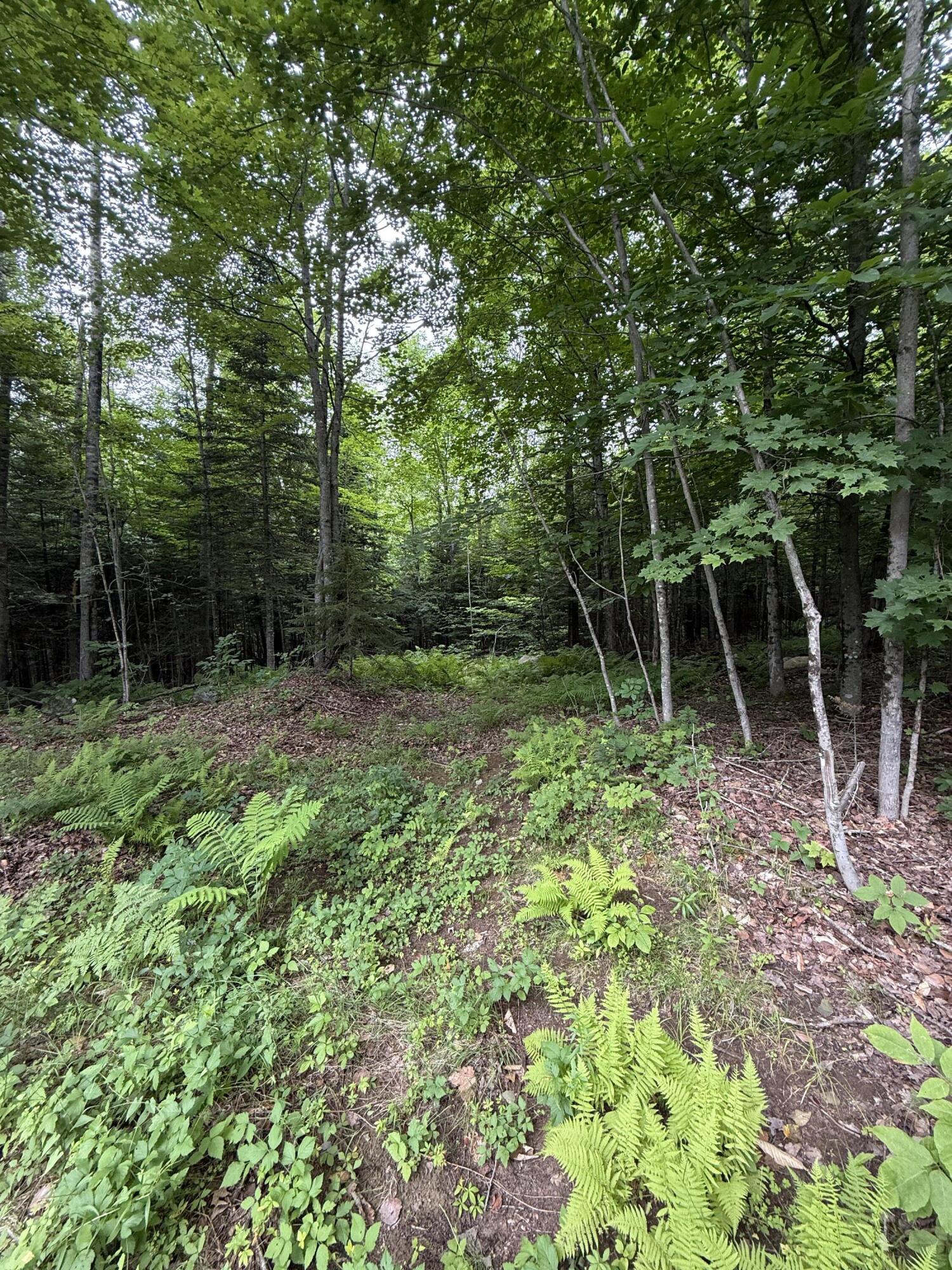 99 Lloyd Road Anson ME 04911