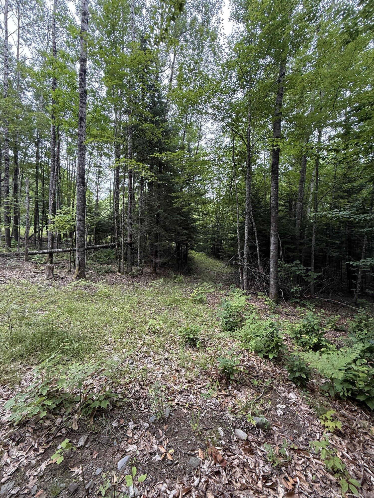 99 Lloyd Road Anson ME 04911