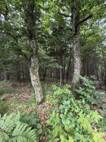 99 Lloyd Road Anson ME 04911