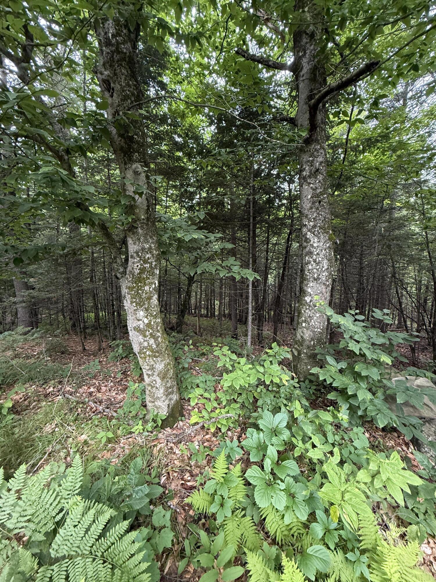 99 Lloyd Road Anson ME 04911