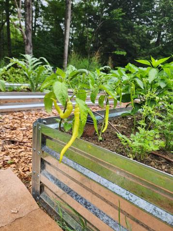 96 Orrin Road Mariaville ME 04605