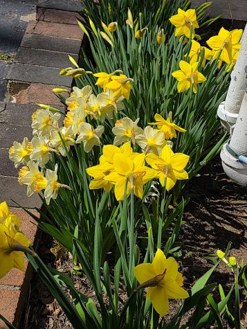 111 Alewive Road Kennebunk ME 04043