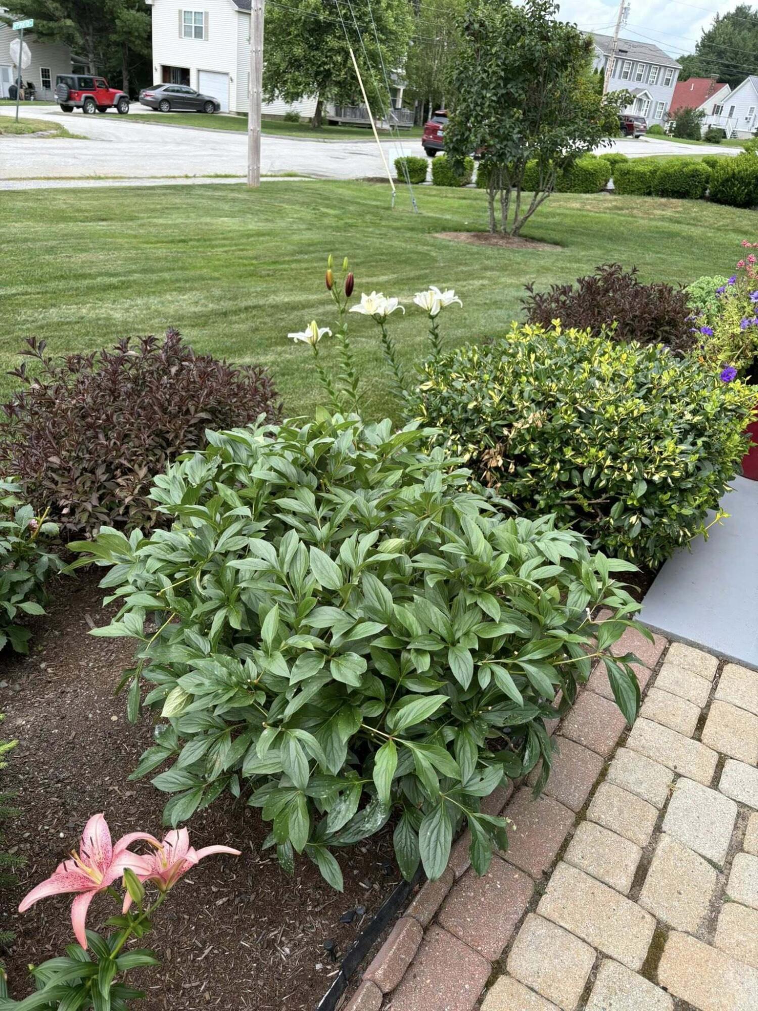 30 Bowdoin Drive Brewer ME 04412