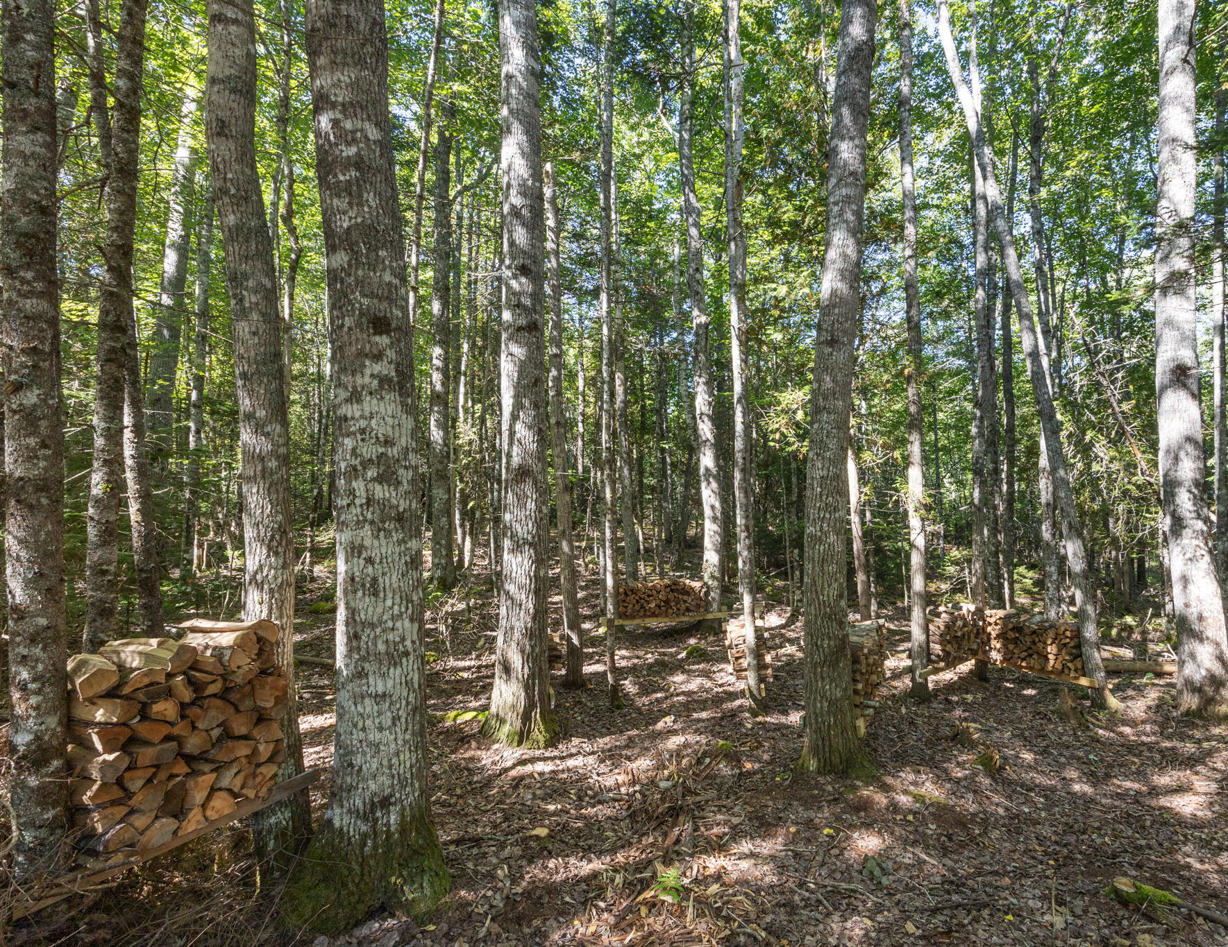 14 Highview Avenue Hancock ME 04640