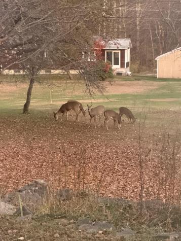 224 Main Street Sanford ME 04083