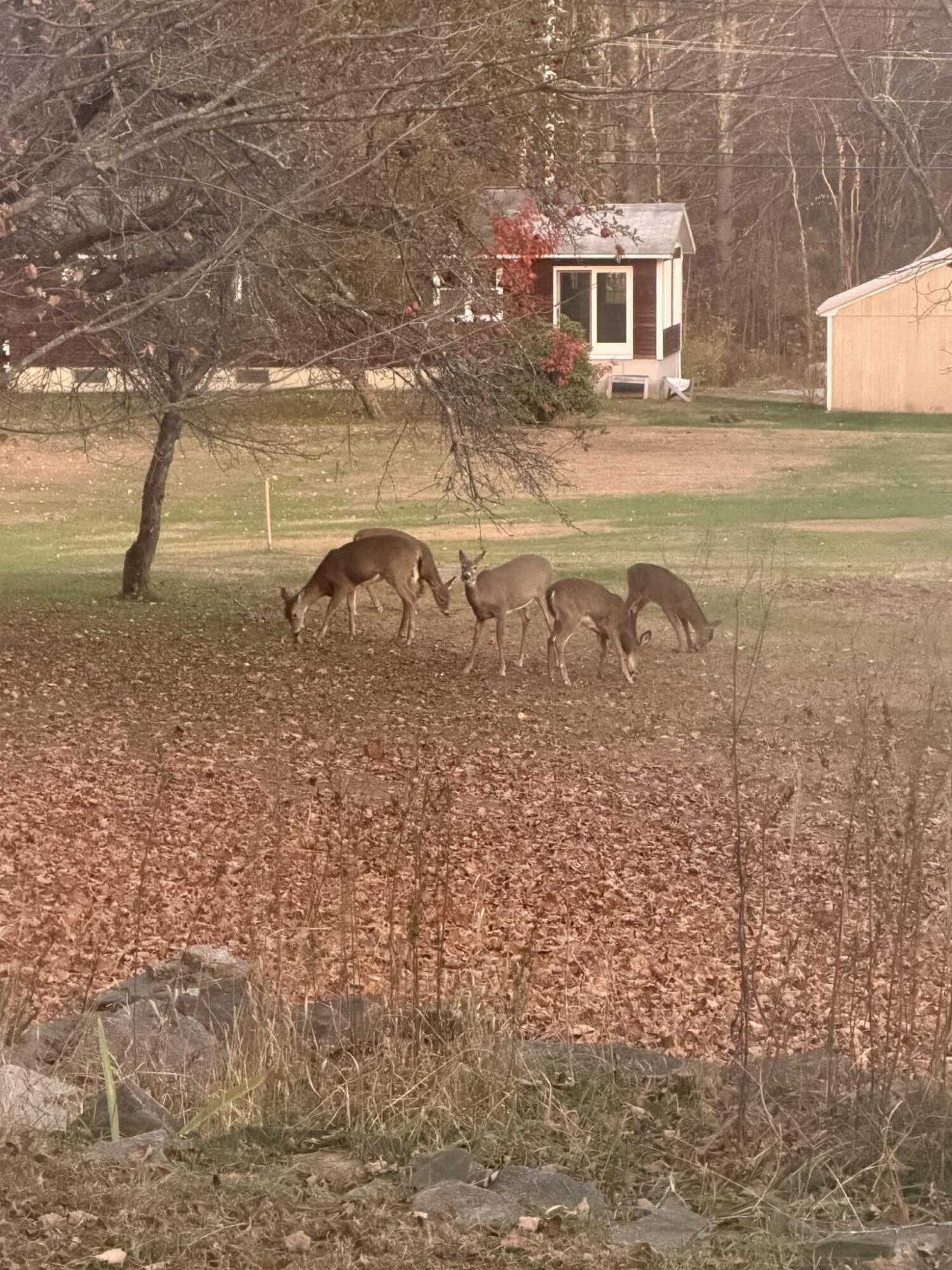 224 Main Street Sanford ME 04083