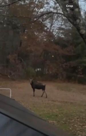 224 Main Street Sanford ME 04083