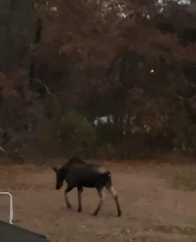 224 Main Street Sanford ME 04083