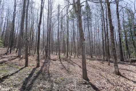 Lot 33-01 Kimball Pond Road New Sharon ME 04955