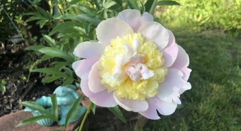 621 Main Street Bowdoin ME 04287