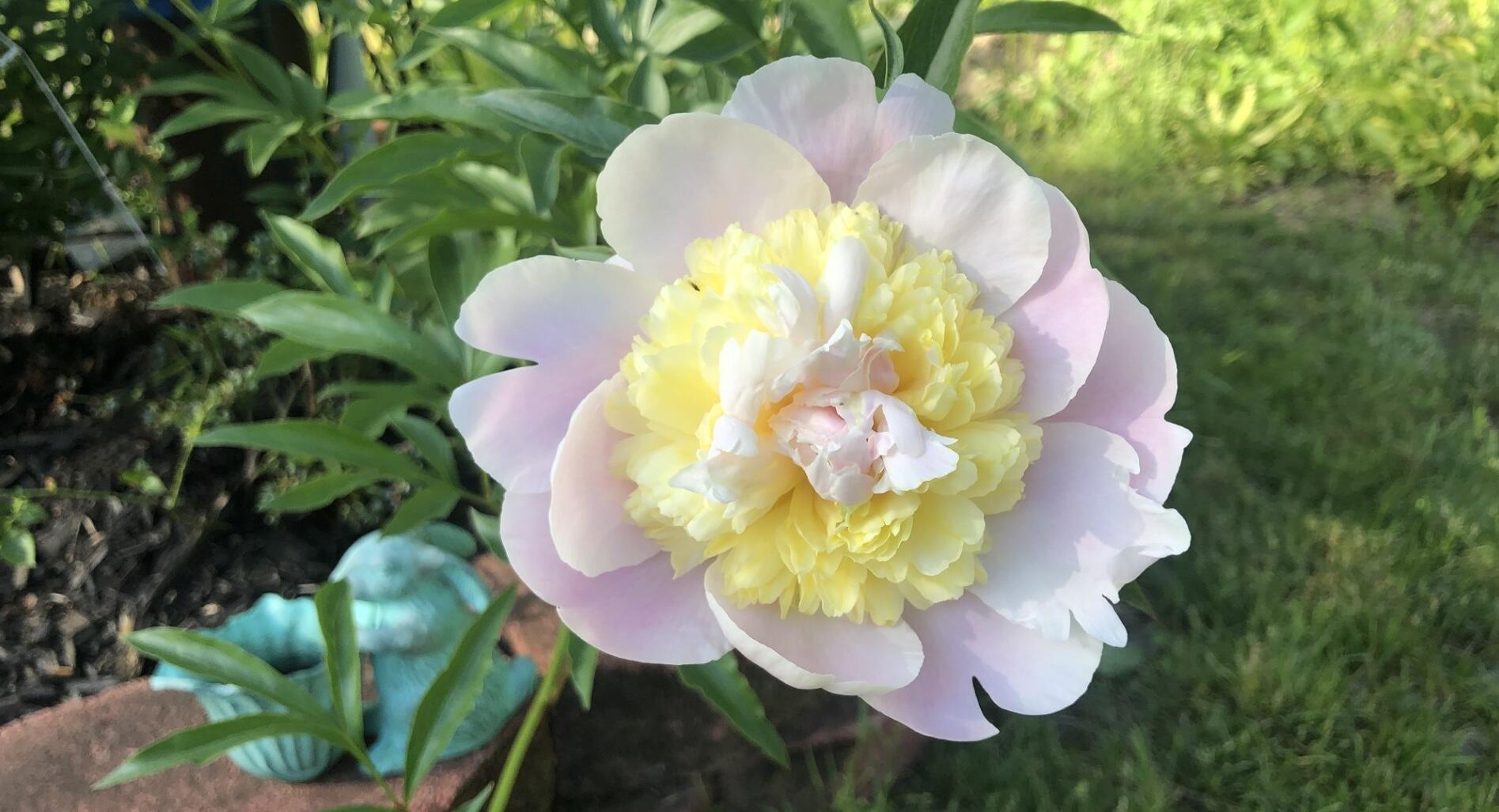 621 Main Street Bowdoin ME 04287