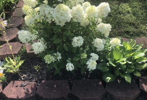 621 Main Street Bowdoin ME 04287