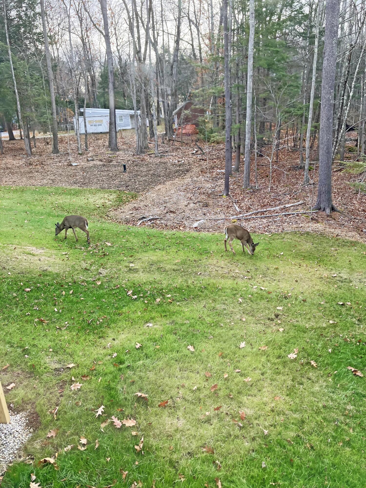 1 Friendly Way (on Land Of Nod ) Windham ME 04062