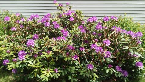 71 Upper-charleston Road Charleston ME 04422