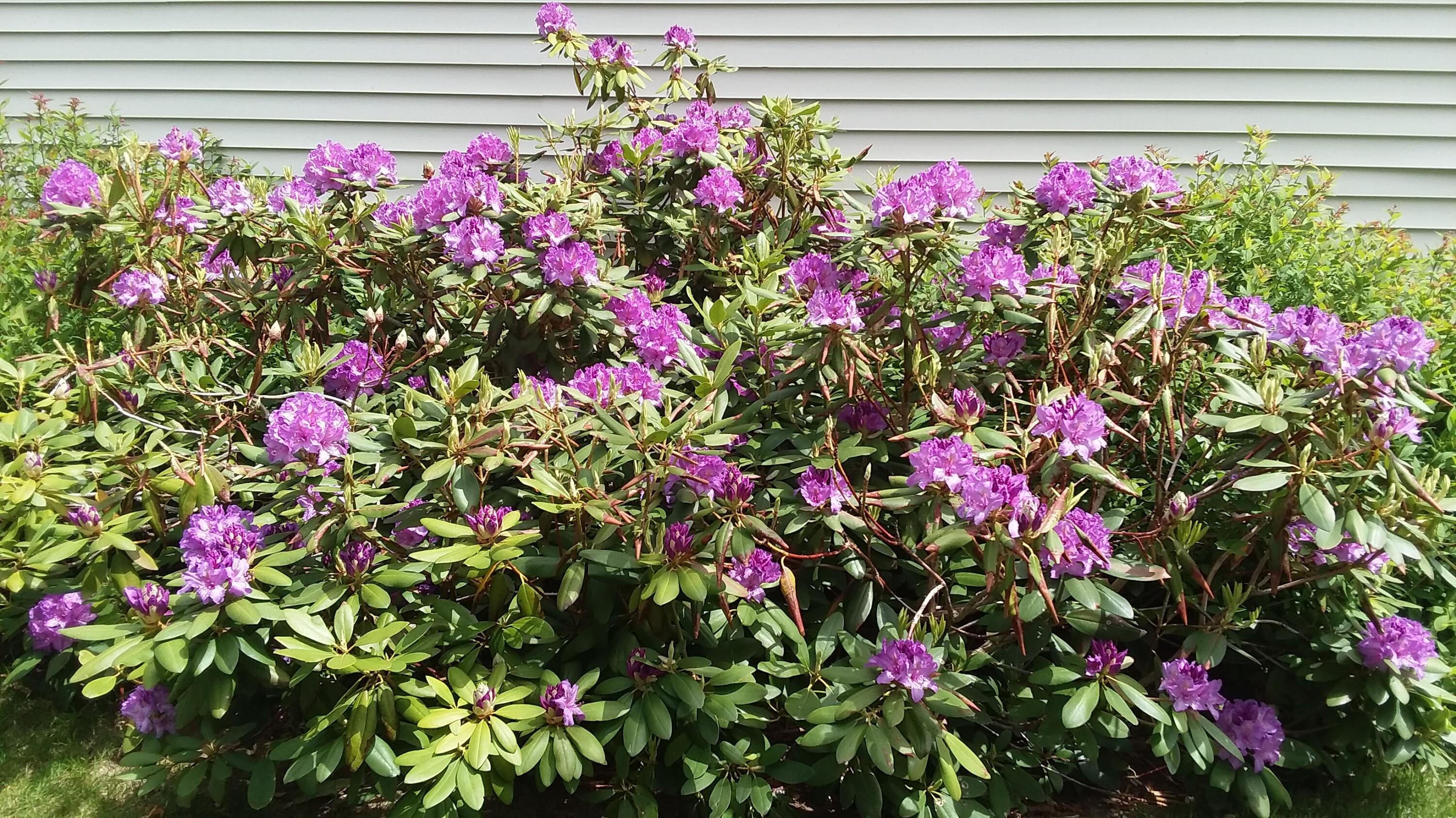 71 Upper-charleston Road Charleston ME 04422