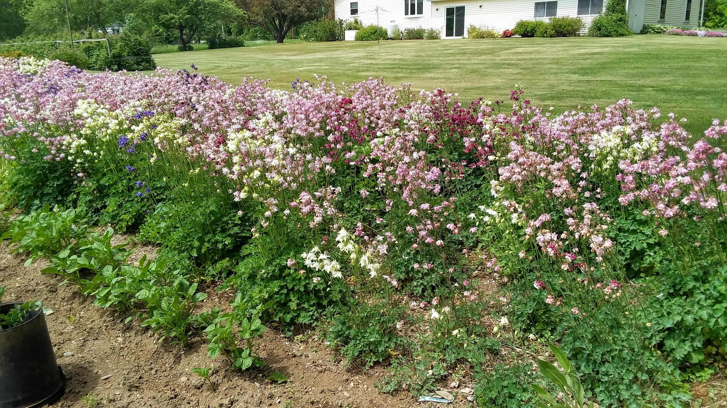 71 Upper-charleston Road Charleston ME 04422
