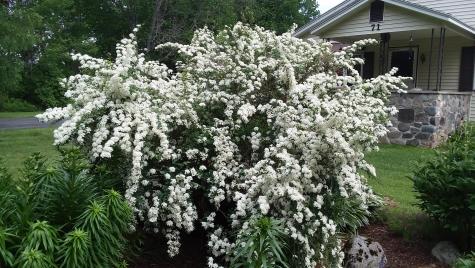 71 Upper-charleston Road Charleston ME 04422