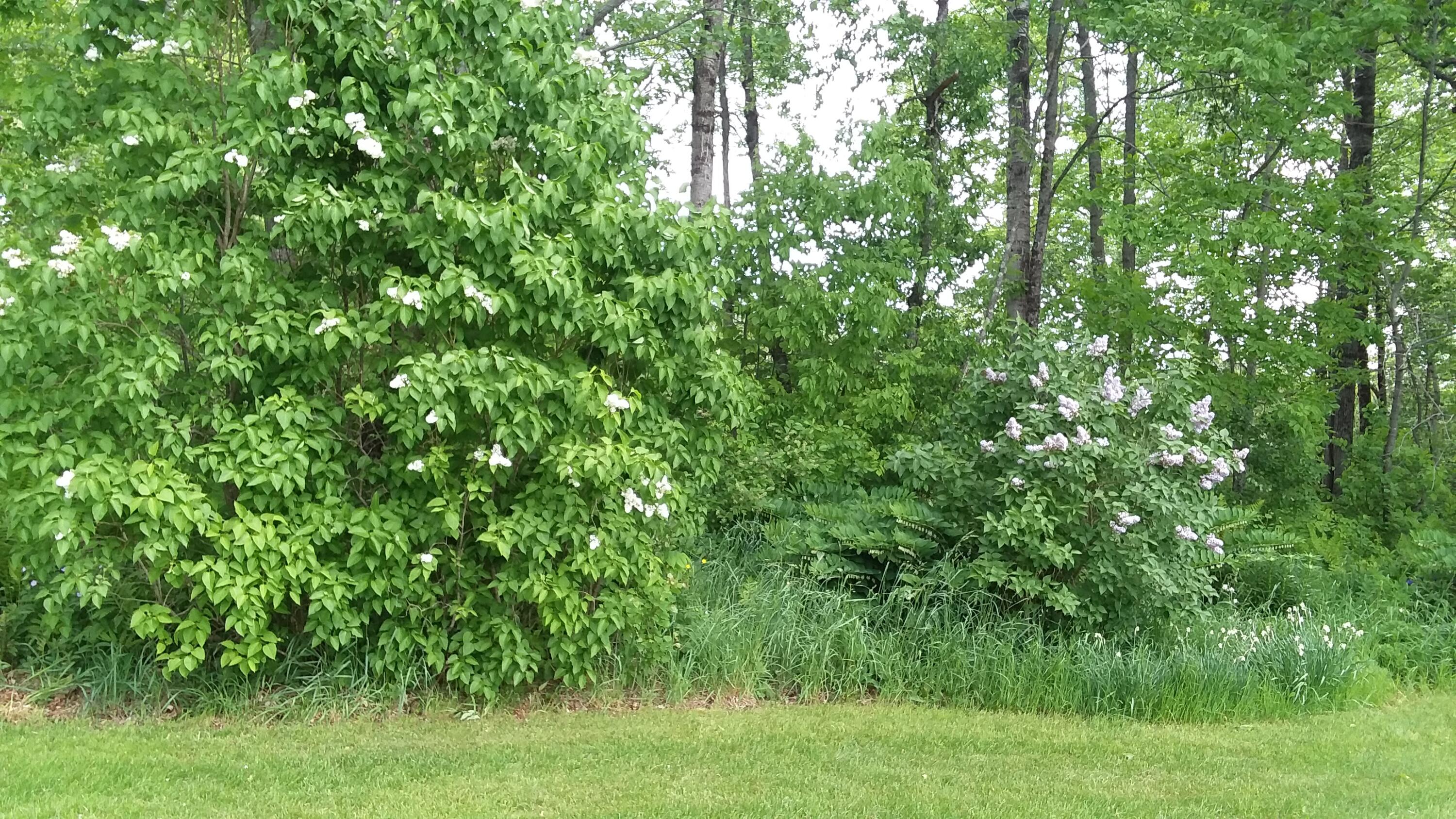 71 Upper-charleston Road Charleston ME 04422