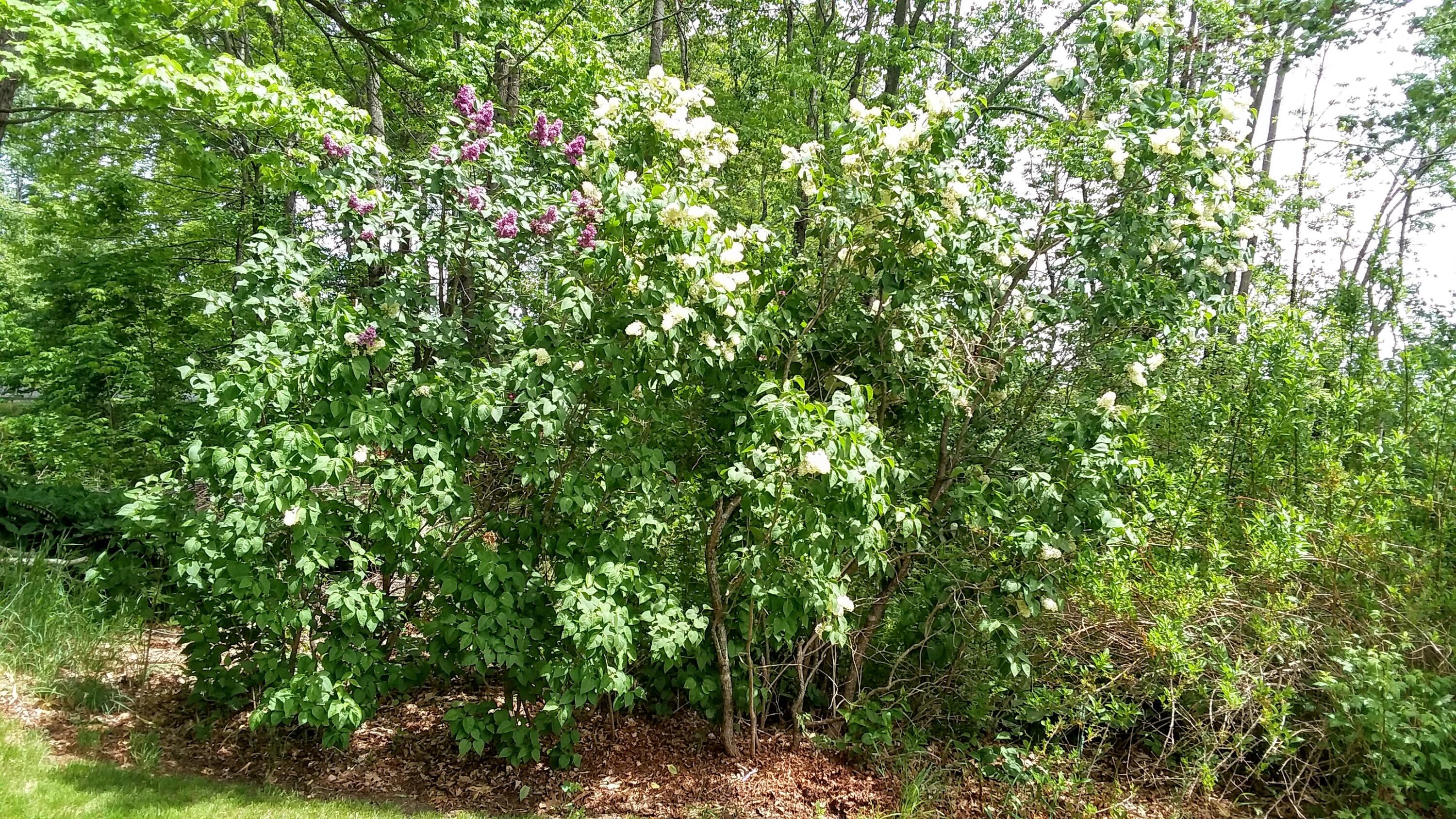 71 Upper-charleston Road Charleston ME 04422