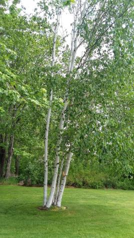 71 Upper-charleston Road Charleston ME 04422