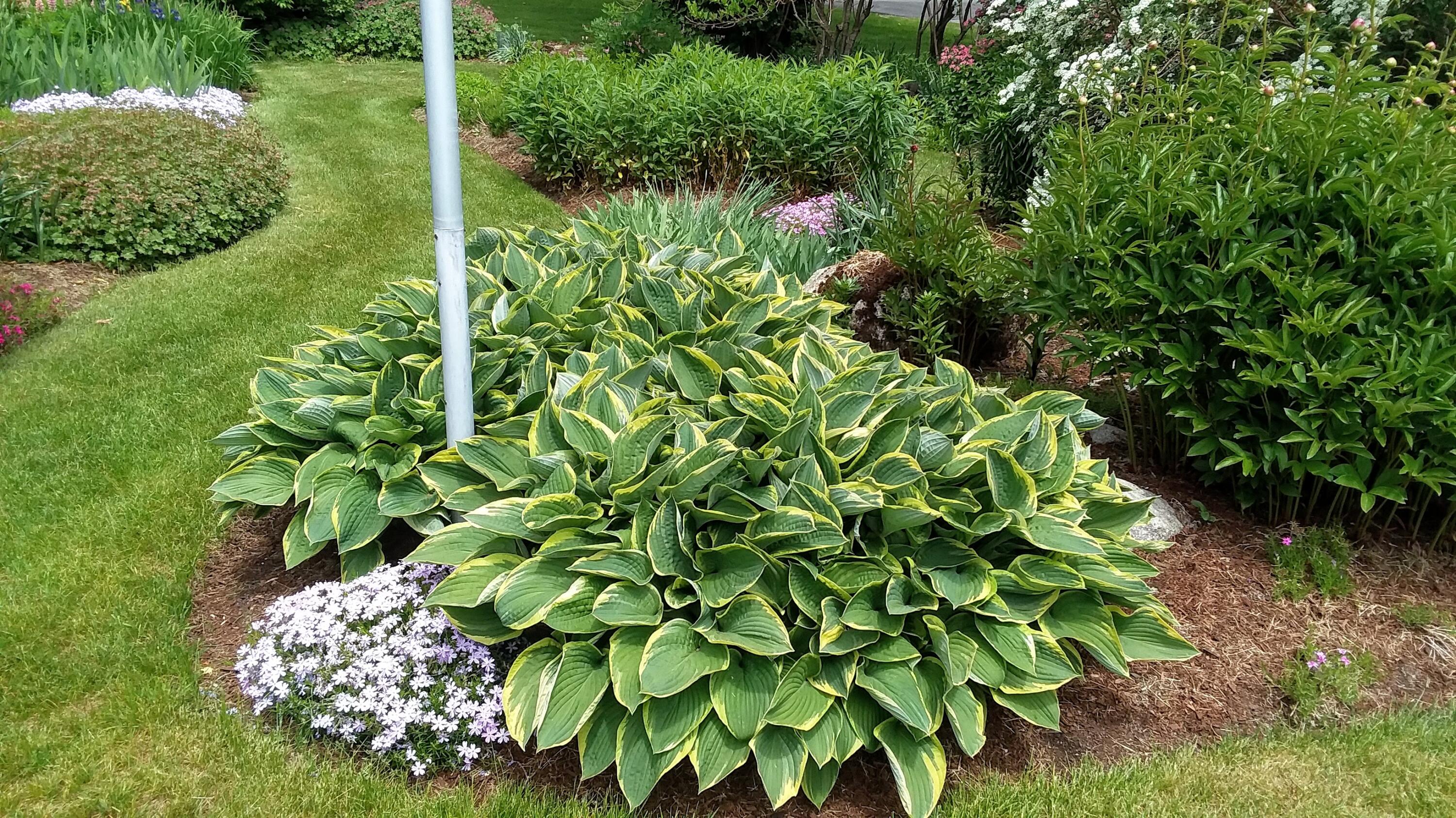 71 Upper-charleston Road Charleston ME 04422